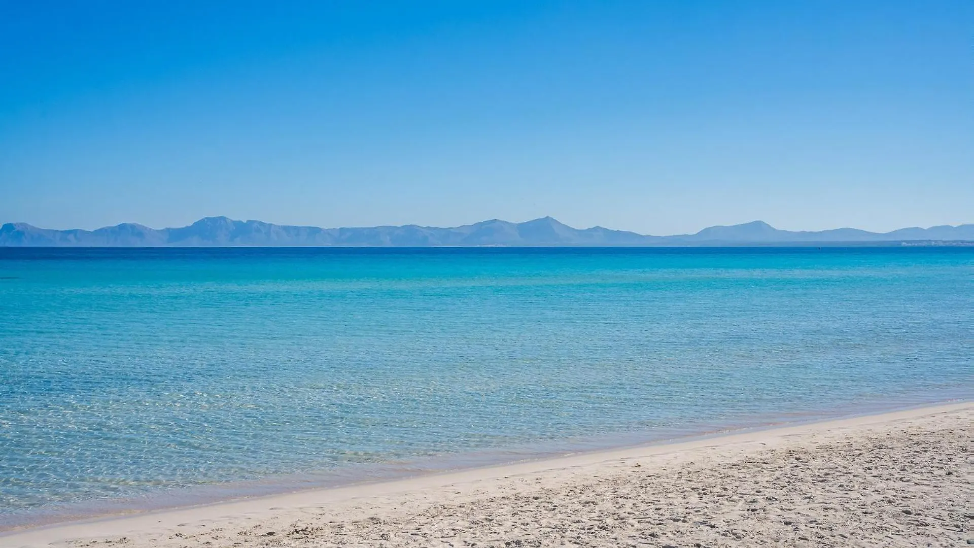 Ideal Property Mallorca - Finca Toni الكوذيا
