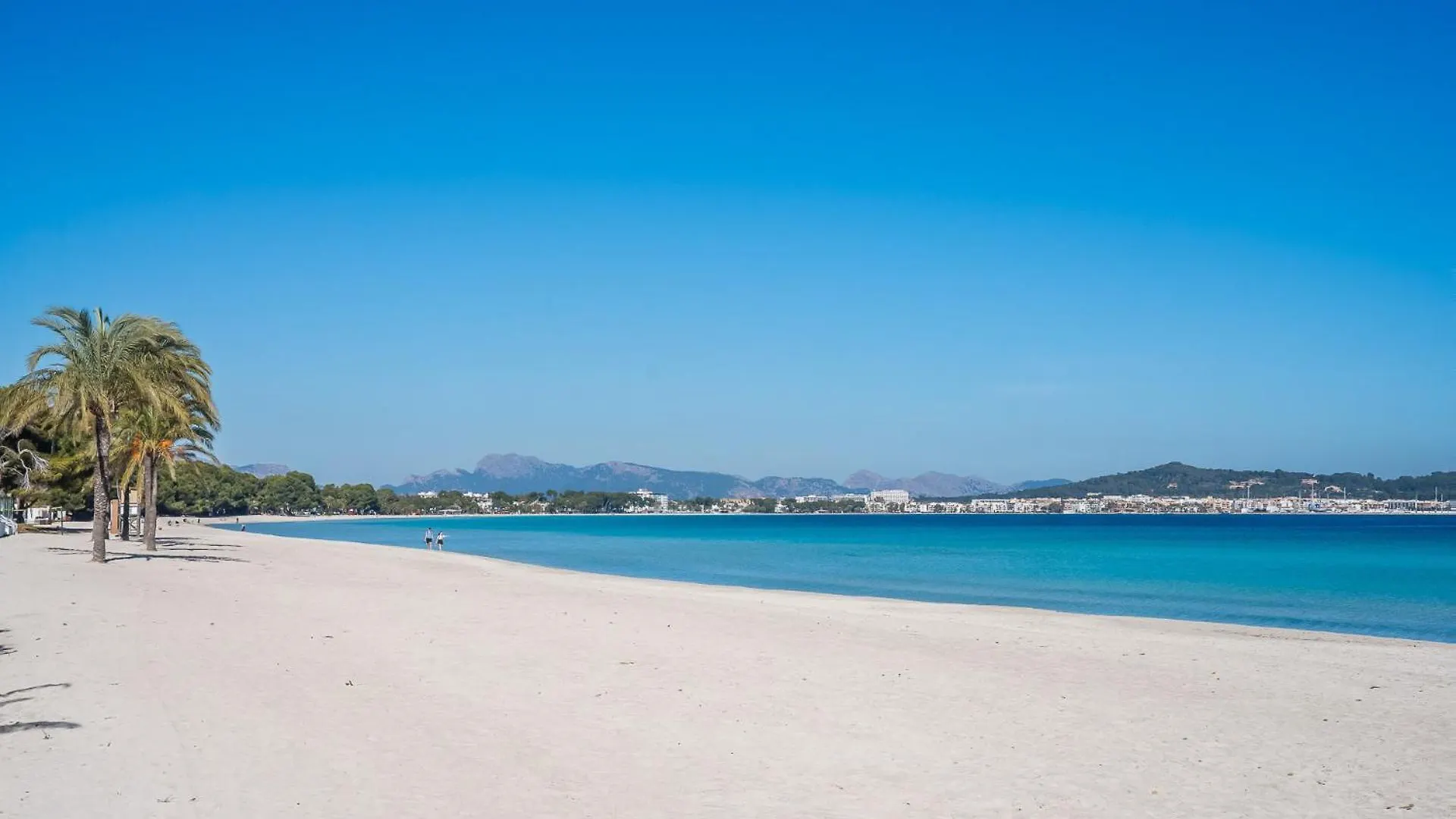 Ideal Property Mallorca - Finca Toni Alcudia  Tatil Evi